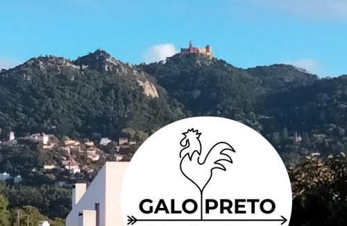 Varzea de Sintra Bed & Breakfast | Galo Preto - Sintra Guesthouse