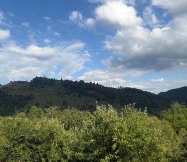 Posaga de Jos House | Gap Mountain House
