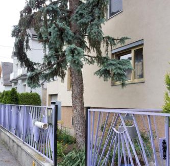 Floridsdorf Apartment | Garden Apartment Donau-City (P&R)