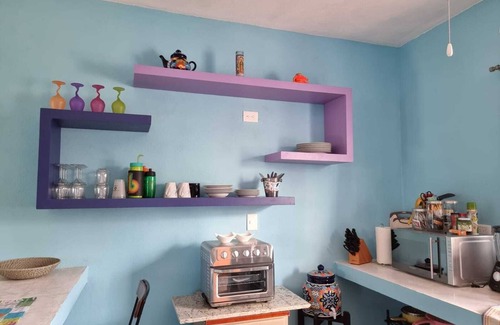 Colonia Independencia Apartment | Garden ArtSpace pets ok 1.5bdrm w/Alexa, bicycles, shared pool & grill, wifi