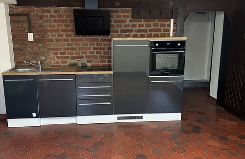 Innenstadt Apartment | Garden level apartment in the historic castle