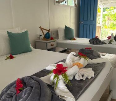 Turtle Bay Hotel | Garden Reef Bungalows