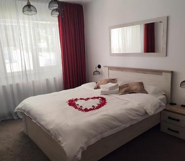 Slanic-Moldova Apartment | Garsoniera Alfa