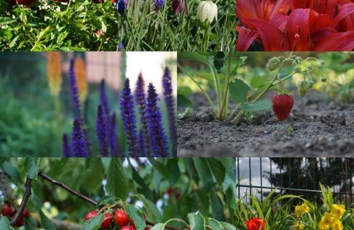 Trebbin Apartment | Gartenblick Trebbin