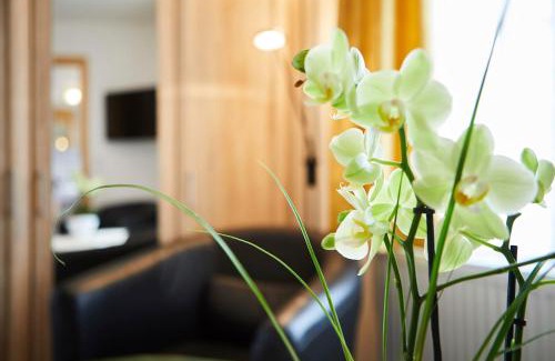 Friedenweiler Hotel | Gasthof & Pension Steppacher