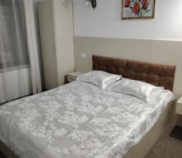Avram Iancu Cabin | Ge-Lux