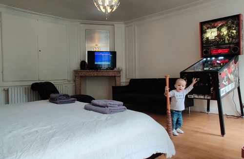 Seurre Other | Geek Castle: a castle full of pinball machines and arcades