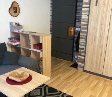 Menzenschwand-Hinterdorf Apartment | Gemütliche Ferienwohnung in Sankt Blasien