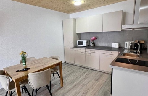 Gottmadingen Apartment | Gemütliches GrenzAparment - Suite mit großer Dachterrasse (4Personen)