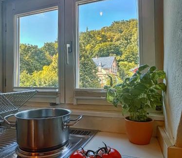 Gelnhausen Apartment | Gemütliches Studio - Dachwohnung mit Blick über das Kinzigtal