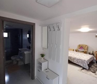 Macin House | Gemini house