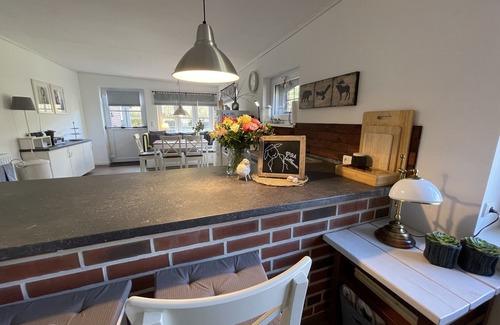 Neuendorf b. Elmshorn House | generous cozy guest apartment DeichSch (l) af with 2 terraces