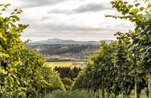 Krottendorf-Gaisfeld Apartment | Genuss Appartement am Familien Weingut