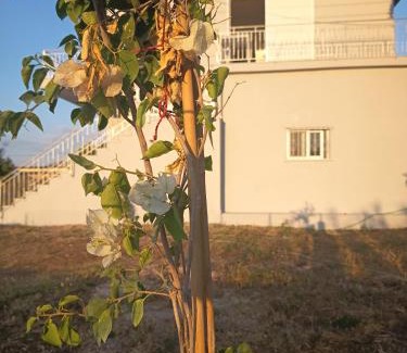 Zalongo House | George Villa Arhagelo Preveza