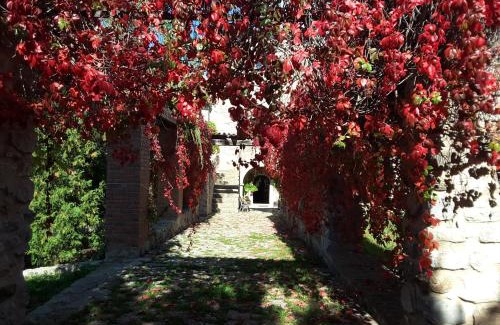 Polizzi Generosa House | Giardino Donna Lavia