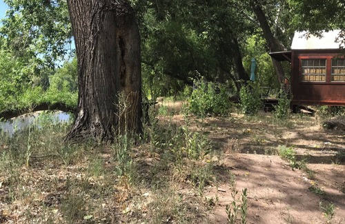 Gila House | Gila Vintage Airstream RV- pet friendly