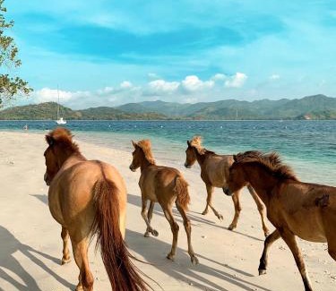 P. Gili Asahan Resort | Gili Asahan Eco Lodge & Restaurant