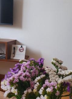 Gjerana Apartment | Gina and Nia apartments