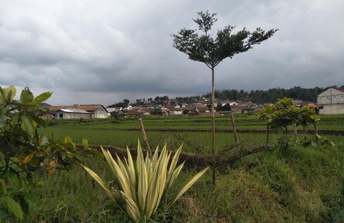 Pasirjambu House | Giri Home & Travel