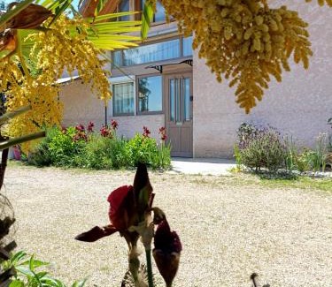 Ameugny House | gite des palmiers