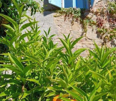 Le Segur House | Gite Les Volets Bleus du Segur
