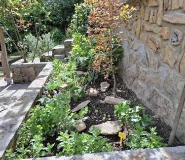 Vesseaux House | Gite OLIVIRA