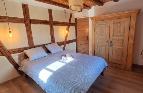 Dambach-la-Ville Apartment | Gite premium, au Cœur de l'Ours