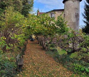 Volvic House | Gites Le Vieux Vinzelles
