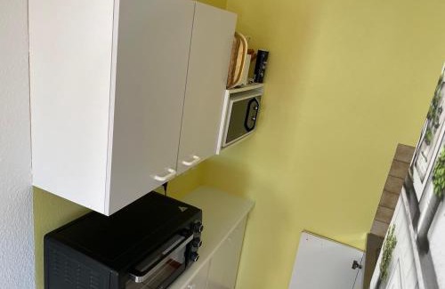 Wangenbourg-Engenthal Apartment | Gites Les Pins et Les Bruyères