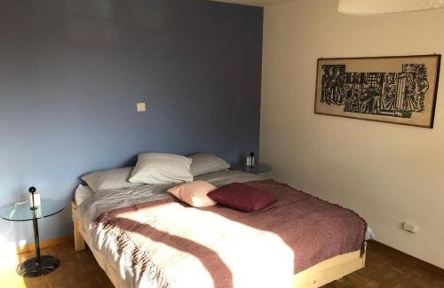 Altdorf Apartment | Gitschenblick
