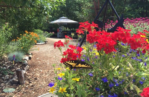 Cave Junction RV Rental | Glamping #4, Nature Immersion, River access, Butterfly Pavilion