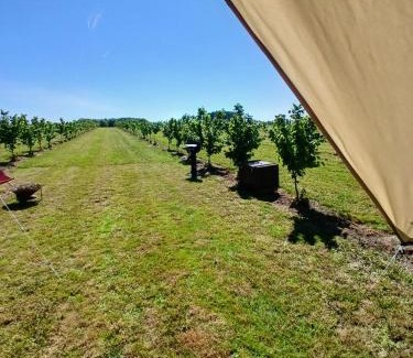 Hannut Other | Glamping au verger de la Marsale