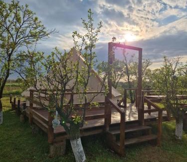 Bucsani Other | Glamping Livada cu lavanda