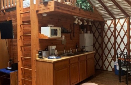 Elkins Cabin | GLAMPING YURT. Sleeps 4, HOT TUB, Pellet Stove