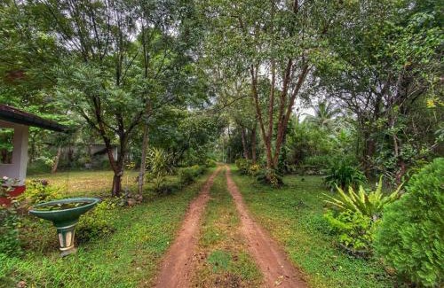 Inamaluwa House | Globetrotter Tourist Inn