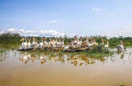 Amhara Region Other | Golan Tours Ethiopia