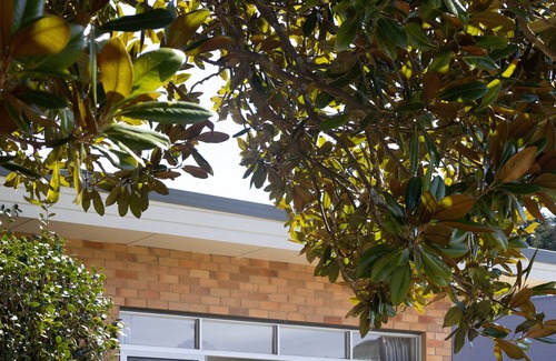 Bowral Apartment | Golf View Villa Bowral - with swimming pool & Tennis court