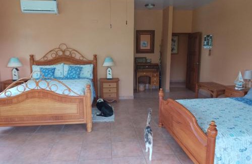 Boca Chica Bed & Breakfast | Gone Fishing Panama Resort