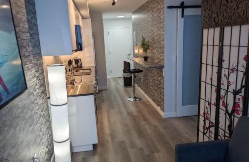 Downtown Apartment | Gorgeous looking 2 bedroom Apt in downtown silverspring