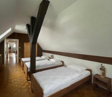 Idrija House | Gostišče Barbara