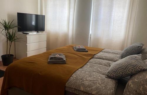Bahnhofsvorstadt Apartment | GottwaldHaus-Freiberg-Ferienwohnung