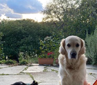 Roesrath House | Grüne Oase unweit von Köln