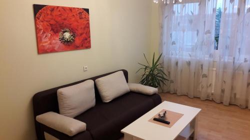 Panevezys Apartment | Gražinos apartamentai
