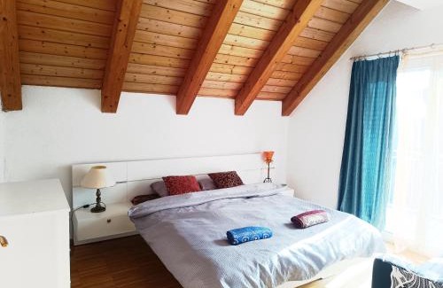 Leymen Apartment | Grand appartement frontière suisse