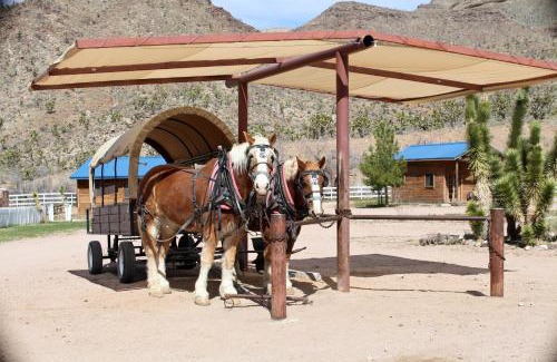 Meadview House | Grand Canyon Western Ranch