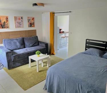Epinay-sur-Seine Apartment | Grand studio cosy proche Paris