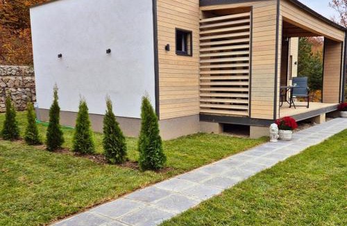 Slanic-Moldova House | Grand View Slanic Moldova