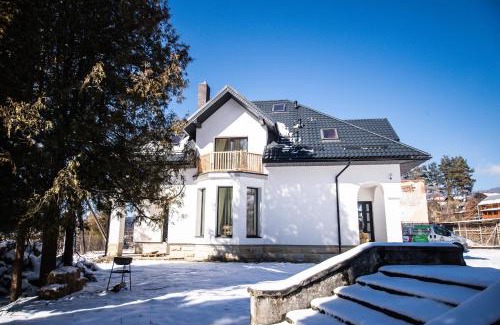 Vorokhta Villa | Grand Villla Skyta