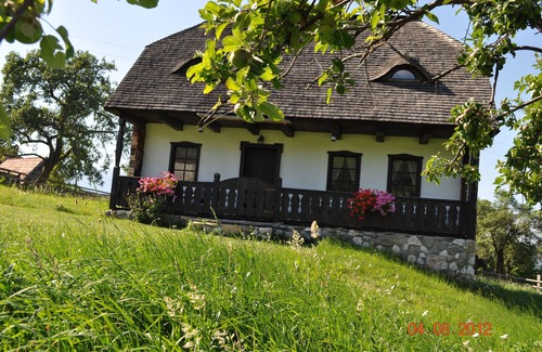 Bran House | Grandma's House - traditional house near to Bran Castle