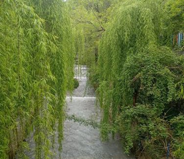 Sheki Resort | Grandsons Resort